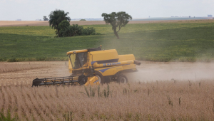 Produtores rurais da Região Oeste do Paraná, começaram a colher a safra de soja plantada em outubro do ano passado