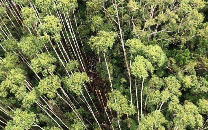 Mata onde caiu helicóptero