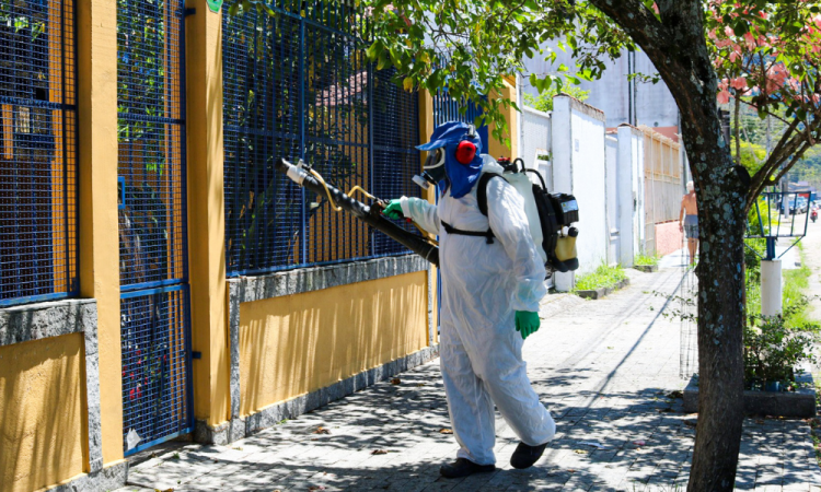 Casos probables de dengue en Brasil se acercan a 400.000 este año