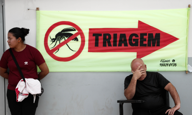 Sobe para 391 o número de mortos por dengue no Brasil