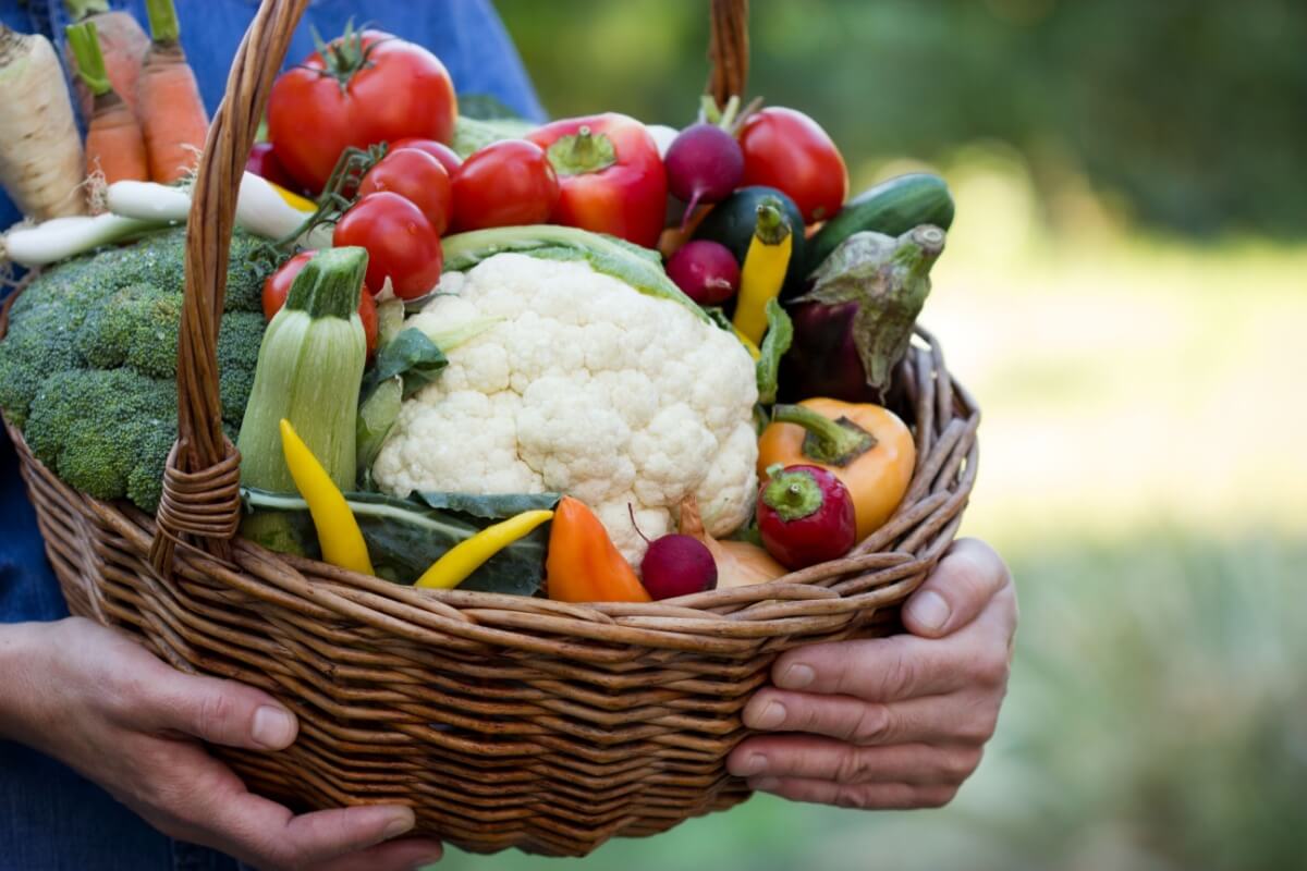 O consumo de legumes é importante para o bom funcionamento do corpo 