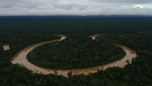 Terra Indígena Vale do Javari está na jurisdição de quatro municípios do Amazonas