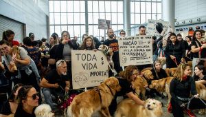 ONGs e tutores fazem homenagem a cão Joca em 14 estados brasileiros