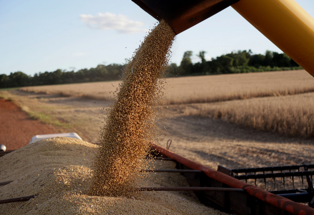 Colheita de soja em propriedade rural em Campo Mourão, na Região Centro-Oeste do Paraná