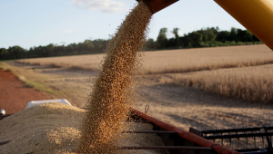 Colheita de soja em propriedade rural em Campo Mourão, na Região Centro-Oeste do Paraná