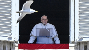 Um pássaro voa enquanto o Papa Francisco conduz a oração Regina Coeli