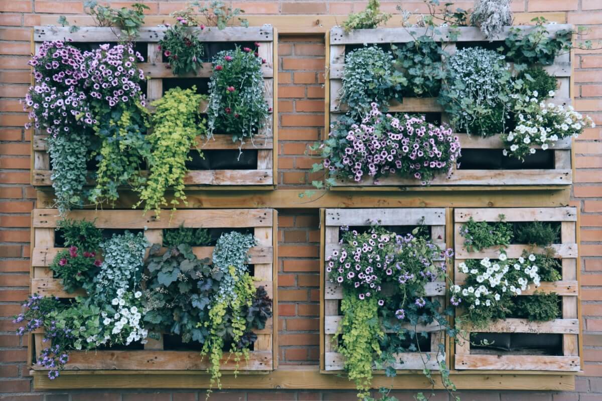 4 dicas para montar um jardim vertical em casa