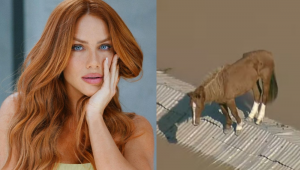 Giovanna Ewbank manifesta deseja de adotar cavalo ‘Caramelo’