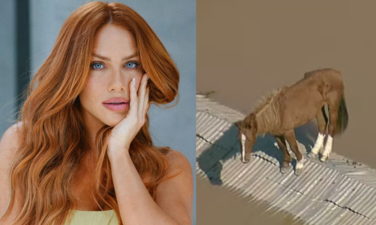 Giovanna Ewbank manifesta deseja de adotar cavalo ‘Caramelo’