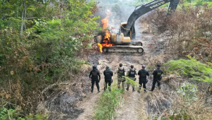 Polícia Federal fecha três garimpos em Terra Indígena Kayapó no Pará