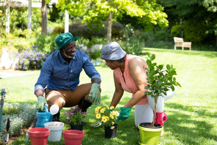 5 dicas para cuidar das plantas no inverno