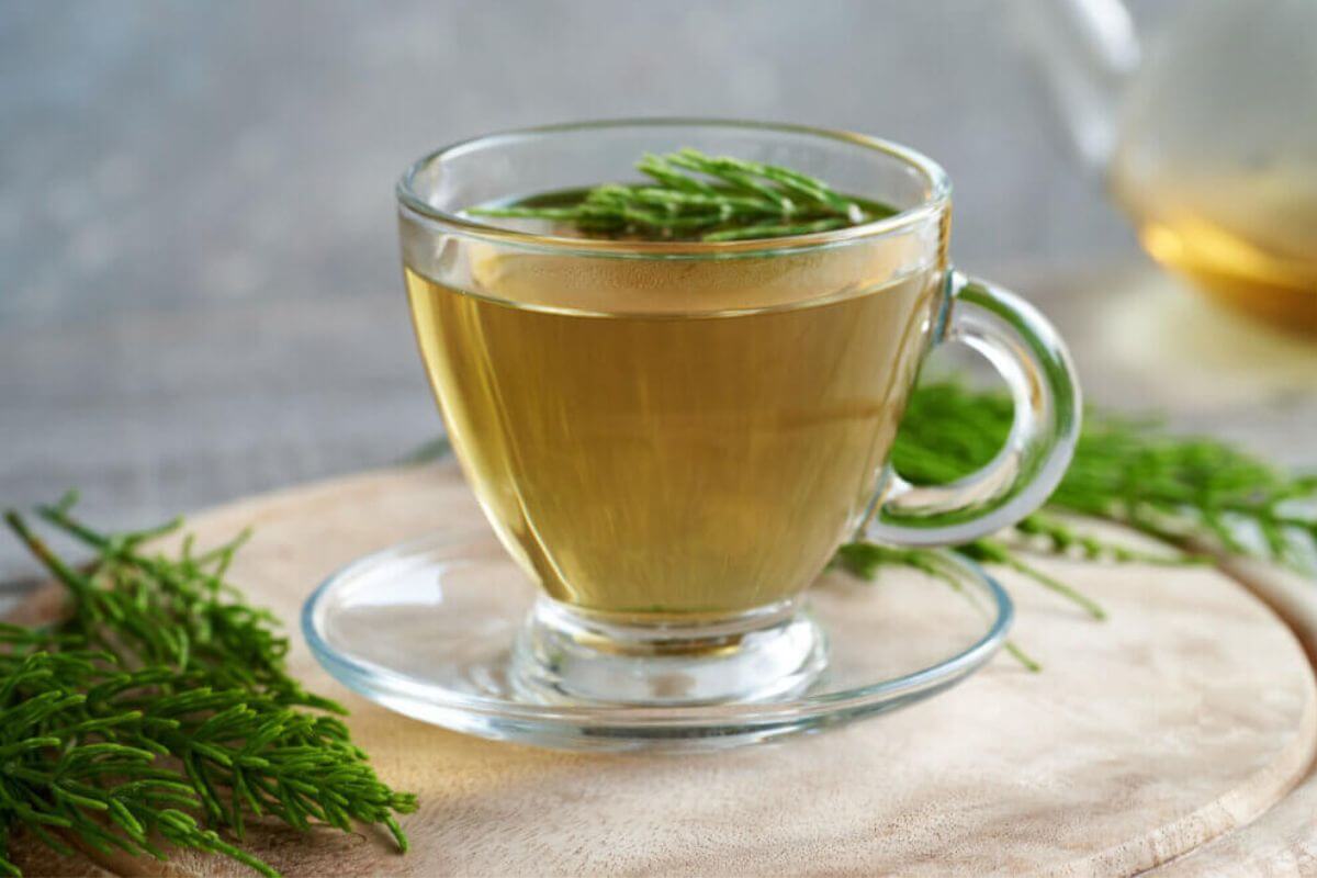 6 receitas de chás detox para os dias frios