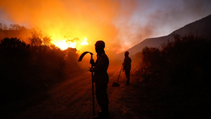 Brigadistas, bombeiros e voluntÁrios trabalham no combate da queimada na parte alta do Parque Nacional do Itatiaia, localizado na Serra da Mantiqueira, em Itatiaia (RJ)