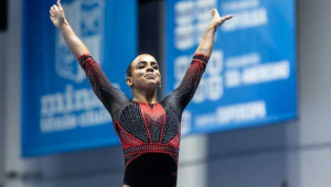 ginastica olimpica do Brasil