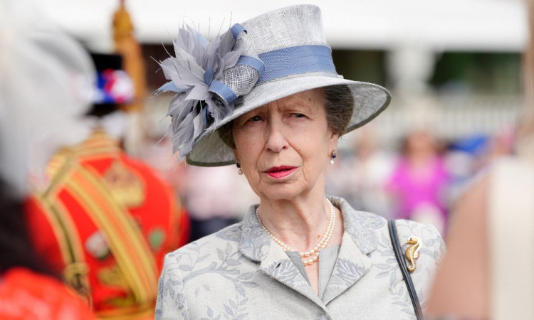 Princesa Anne, irmã do rei Charles III, é hospitalizada com concussão cerebral após ‘incidente’