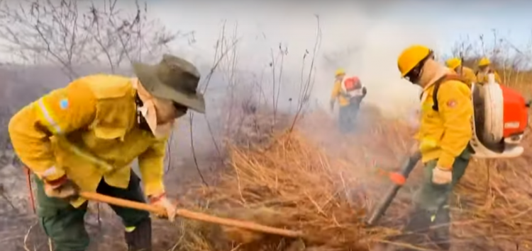 Voluntário se unem para conter chamas no Pantanal