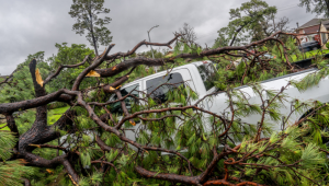 Uma caminhonete ficou presa sob uma árvore derrubada depois que o furacão Beryl varreu a área em 8 de julho de 2024 em Houston, Texas. A tempestade tropical Beryl evoluiu para um furacão de categoria 1 ao atingir a costa do Texas na noite passada.
