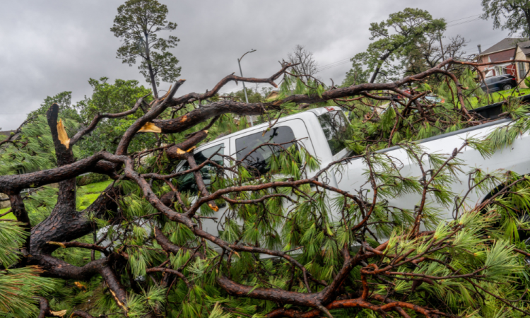 Uma caminhonete ficou presa sob uma árvore derrubada depois que o furacão Beryl varreu a área em 8 de julho de 2024 em Houston, Texas. A tempestade tropical Beryl evoluiu para um furacão de categoria 1 ao atingir a costa do Texas na noite passada.