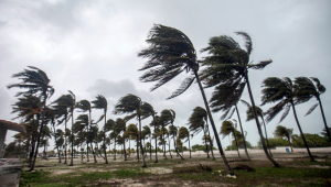 Ventos fortes chicoteiam palmeiras em uma praia vazia durante a passagem da tempestade tropical Beryl em Progreso, na Península de Yucatán, México, em 5 de julho de 2024. Beryl enfraqueceu para uma tempestade tropical na sexta-feira depois de atingir o México como um furacão de categoria 2, com feroz ventos causando danos materiais, mas sem feridos ao longo da Península de Yucatán, rica em turistas.