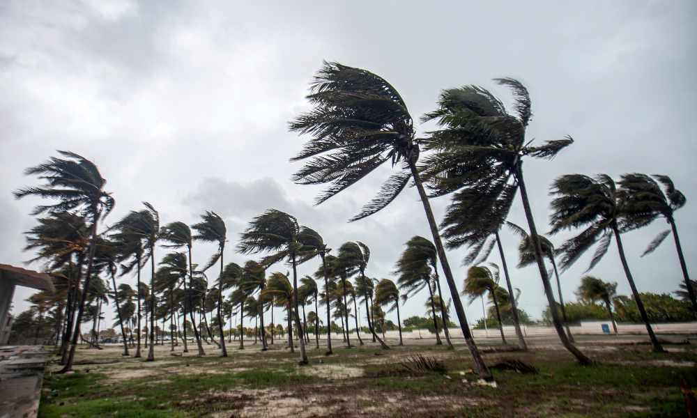 Ventos fortes chicoteiam palmeiras em uma praia vazia durante a passagem da tempestade tropical Beryl em Progreso, na Península de Yucatán, México, em 5 de julho de 2024. Beryl enfraqueceu para uma tempestade tropical na sexta-feira depois de atingir o México como um furacão de categoria 2, com feroz ventos causando danos materiais, mas sem feridos ao longo da Península de Yucatán, rica em turistas.