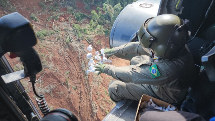 exército brasileiro