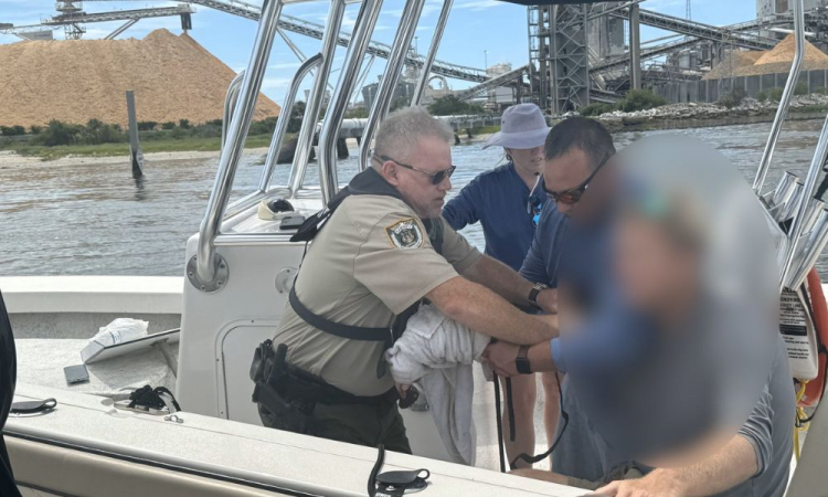 Homem fica em estado grave após ser atacado por tubarão na Flórida