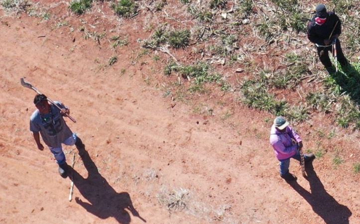 ILUSTRA INVASÃO INDIGENA GUAIRA 3 Hora H do Agro