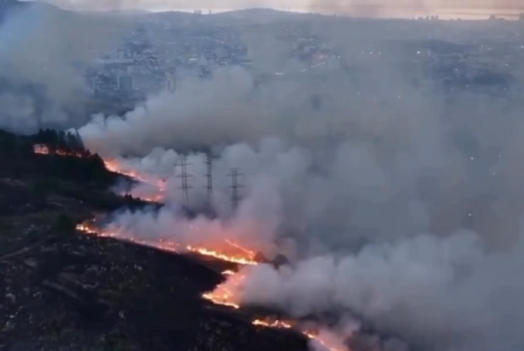 Incêndio atinge área de vegetação em Porto Alegre