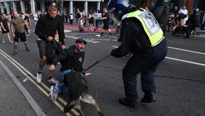 Um cão policial morde um manifestante em Bristol, no sul da Inglaterra