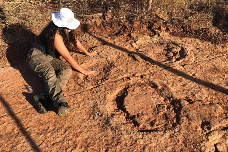 Pegadas de dinossauro de 125 milhões de anos são encontradas no interior do Nordeste