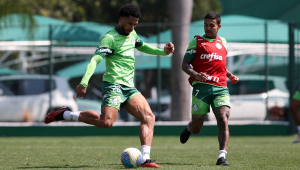 Palmeiras treino