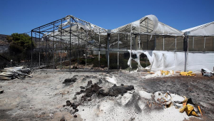 Uma estufa queimada após um incêndio florestal na área de Maratona, região da Ática, Grécia, 13 de agosto de 2024. Um incêndio florestal que eclodiu em 11 de agosto nos arredores de Atenas e se espalhou por grande parte do nordeste da Ática já não tinha uma frente única. 13 de agosto. O fogo se estendeu ao longo de uma frente de mais de 30 quilômetros de extensão. De acordo com o Corpo de Bombeiros, as forças de combate a incêndios estão lidando com focos de fogo espalhados de Varnavas a Nea Makri e Penteli, enquanto há reacendimentos constantes. Os bombeiros encontraram o corpo carbonizado, de uma mulher de 60 anos, numa pequena fábrica que pegou fogo em Patima Halandriou