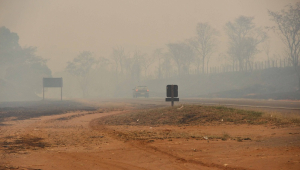 Clima seco e forte calor provocam incêndios em São Carlos e região