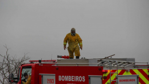 SP - CLIMA/SP/SÃO CARLOS/INCÊNDIOS - GERAL - Bombeiros combatem incêndio florestal que se alastra pela região do município São Carlos, e também de Araraquara, no interior paulista, na tarde deste sábado (24).