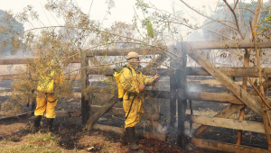 Incêndios atingem a região de São Carlos, no interior paulista