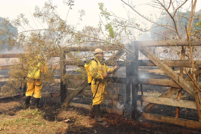 Incêndios atingem a região de São Carlos, no interior paulista