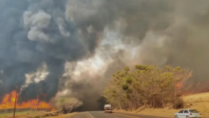 Fumaça de incêndios no interior paulista atingem festival de música em Altinópolis,