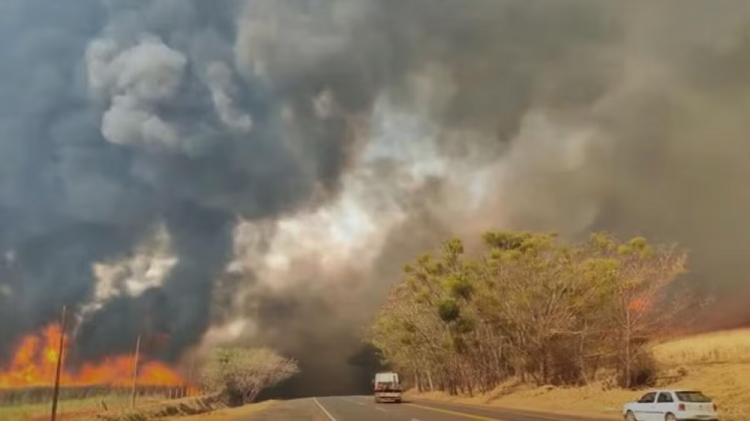 Agosto foi o mês mais devastador para o clima com metade da área queimada no Brasil em 2024