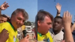 Bolsonaro abelha