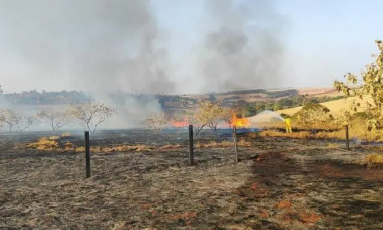 Defesa Civil afirma que 99,9% dos incêndios ocorridos no interior de SP foram causados por ação humana