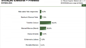 pesquisa ilhabela