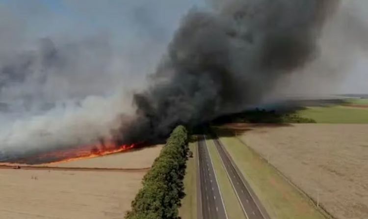 Estado de São Paulo tem 36 cidades com alerta máximo para queimadas