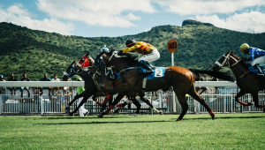 Corrida de cavalo