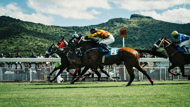 Corrida de cavalo