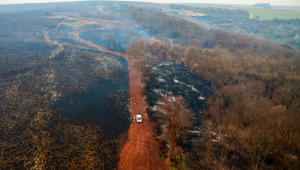 SP - RIBEIRÃO PRETO - SP, FUMAÇA, QUALIDADE DO AR, INCÊRIBEIRÃO PRETO -