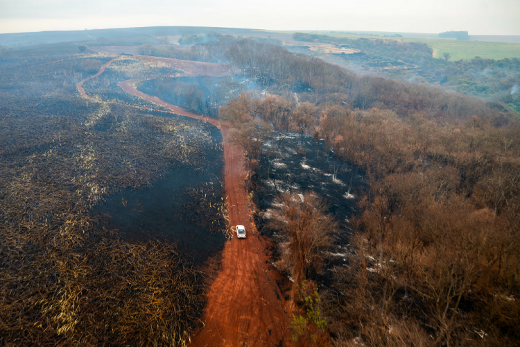 Mais de oito mil propriedades em 317 municípios foram atingidos pelos incêndios em São Paulo