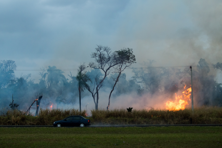 Queimadas na Amazônia: emissões de CO2 aumentam 60% em comparação ao ano anterior