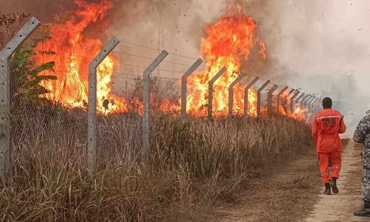 Incêndios florestais na América do Sul estabelecem novo recorde em 20 Anos