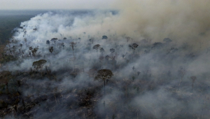 Vista aérea de um incêndio ilegal na floresta amazônica