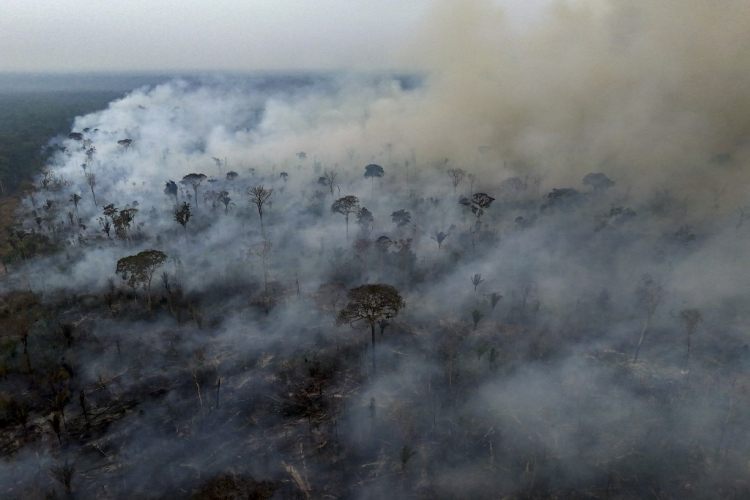 Desmatamento na Amazônia atingiu área florestal do tamanho do território colombiano em 40 anos